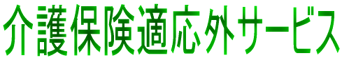 介護保険適応外サービス